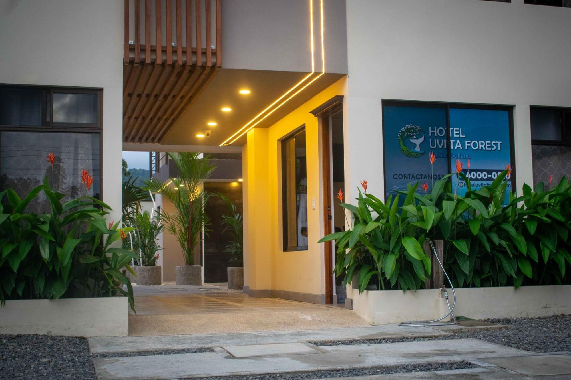 Hotel Uvita Forest Eksteriør billede